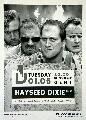 Metal 155 Hayseed Dixie 60cm by 84cm 15euro 2003.JPG